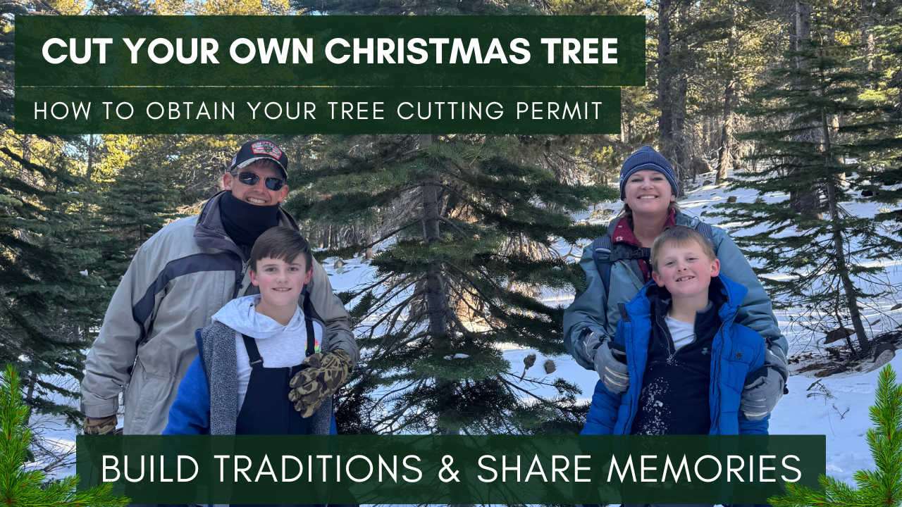 Cutting Your Own Chistmas Tree How to obatin Your Own Cutting Permit text with image of the Angst Family and their Christmas Tree that they cut down. 