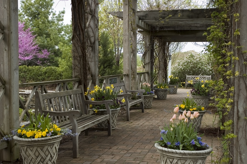 Grand yard with tulips sprouting from pots. 