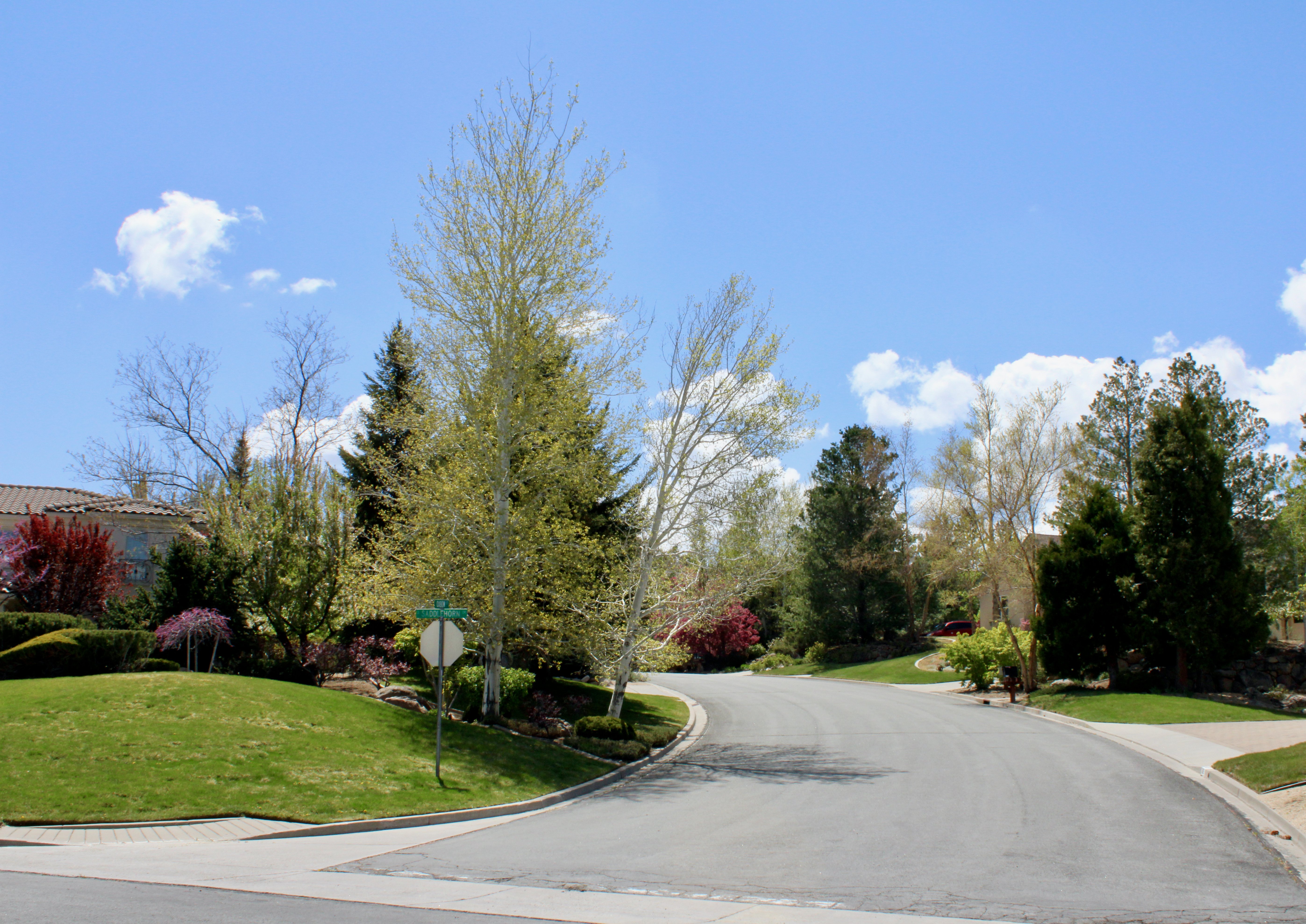 Streets in Saddlehorn