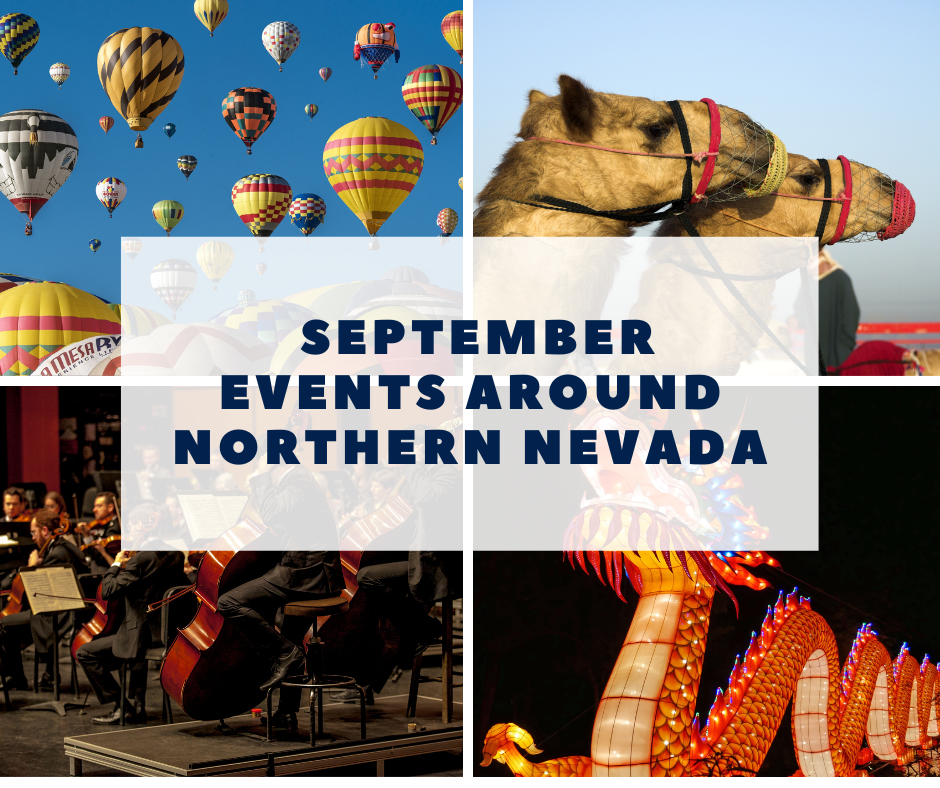 Your Quick Guide to Local Fun in September text over collage of images including camel, hot air balloons, asian dragon lights, and orchestra. 
