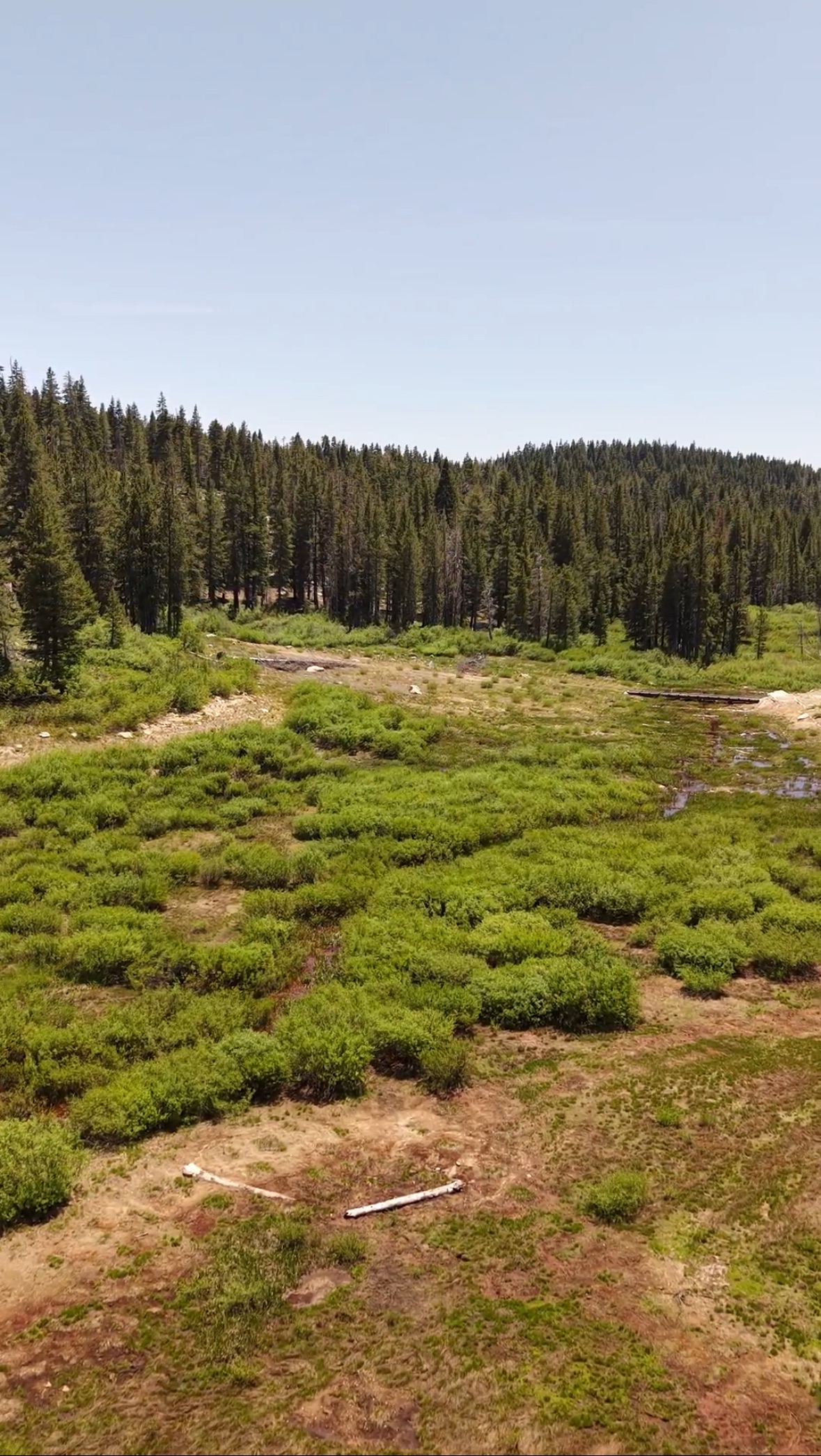 Image of the Incline Loop Trail area